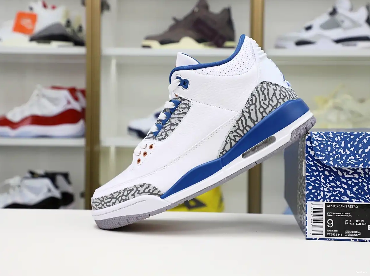 Air Jordan 3 retro